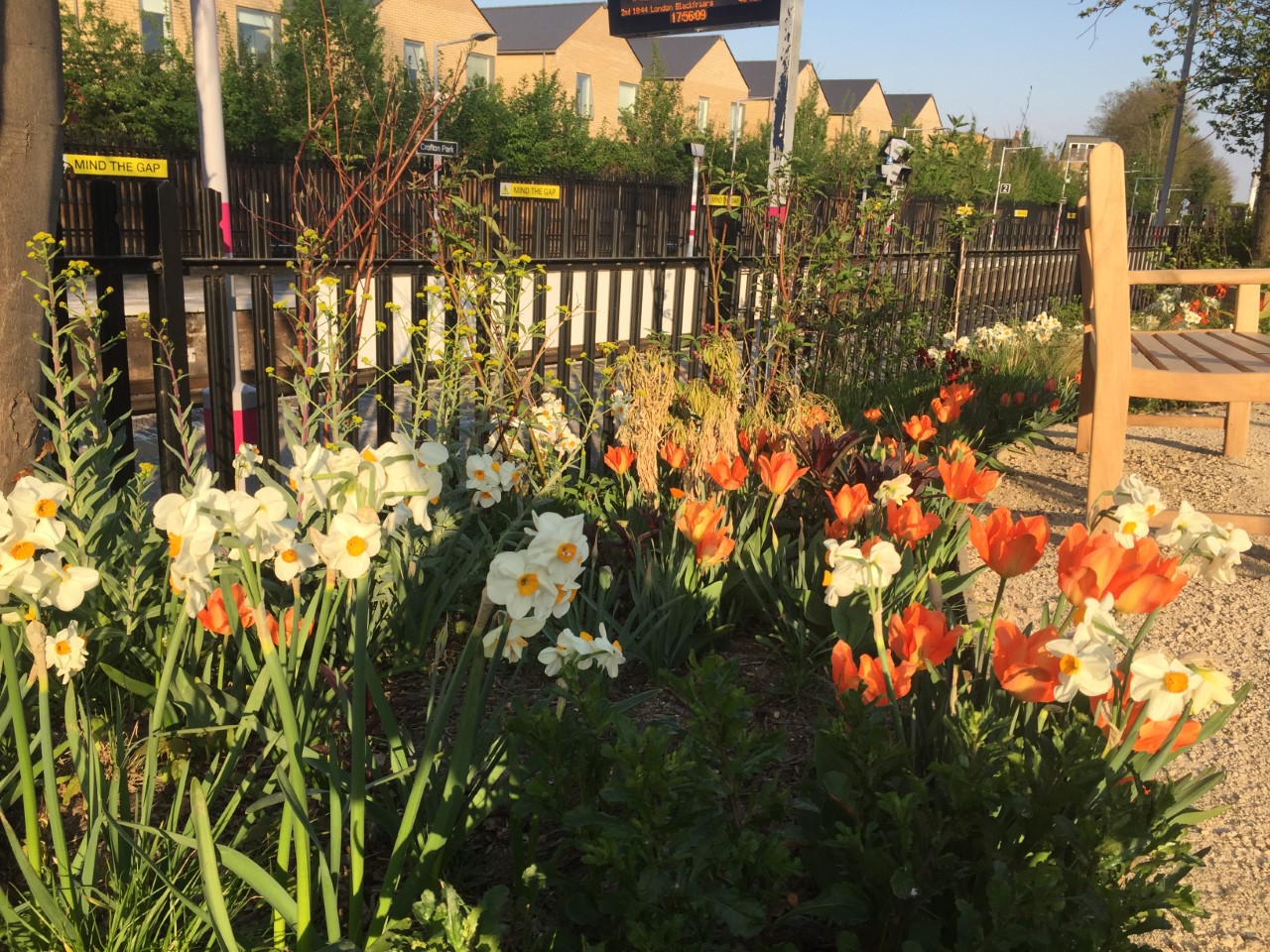 Crofton Park Railway Garden Home